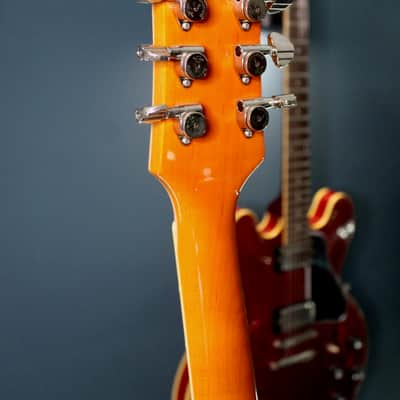 Duesenberg Star Player TV Honey 2018 image 6