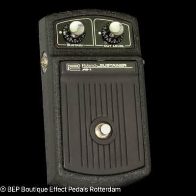 Roland AS-1 Sustainer mid 70's Japan image 1