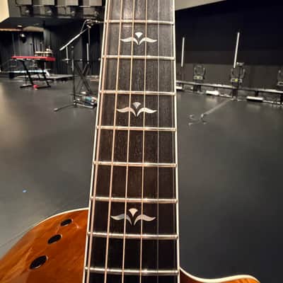 Taylor 614ce with LR Baggs Pickup Honey Sunburst image 12