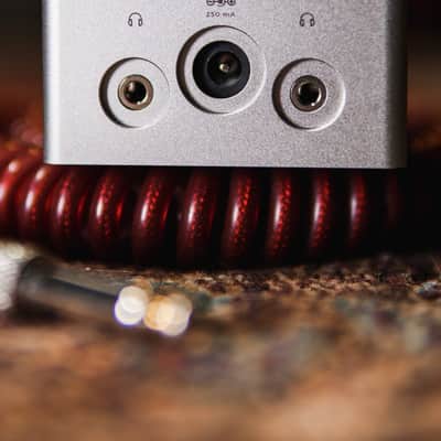Darkglass Element Cabism Headphone Bass Amp Pedal image 6