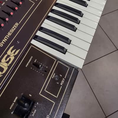 SIEL CRUISE  - Vintage Analog Mono and Poli Synthesizer