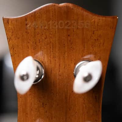 Epiphone Mastertone Bowtie Open Back Banjo with Gig Bag image 12