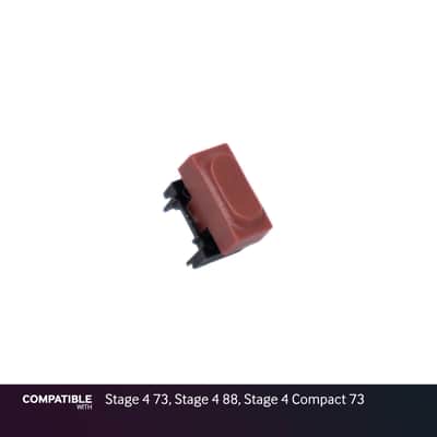 Nord Red Pushbutton Switch Cap for Stage 4 73, Stage 4 88, Stage 4 Compact 73