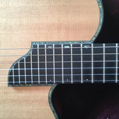 Sand Guitars electric nylon string Mahagoni - Barbera pickup image 2