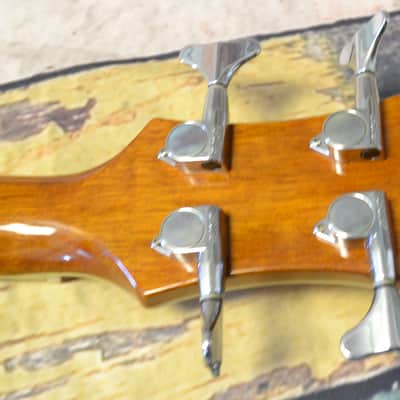 Michael Kelly Dragonfly 4FL Fretless Acoustic Bass image 8