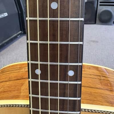 Washburn D13S 1994-1996 image 10