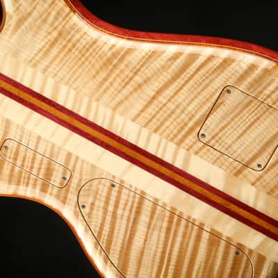 Alembic Further 6 Buckeye Burl - Resin Top image 15