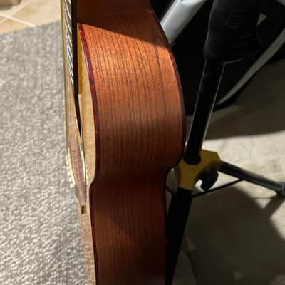 Martin SWOMGT 2014 Acoustic-Electric Guitar image 8