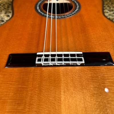 Cordoba C9 Parlor Nylon String Acoustic Guitar Natural image 5