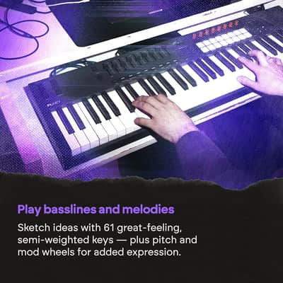 Novation FLkey 2 61 — 61-Key MIDI Controller Keyboard for FL Studio. Make Beats with Semi-Weighted Keys, USB, Pitch & Mod Wheels, 16 Drum Pads, and Arpeggiator — Inc. 6 Months of FL Studio image 7