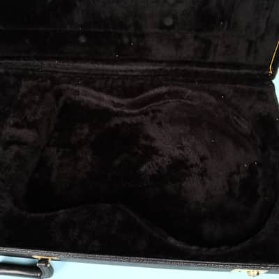 2005 2006 Schecter Robert Smith Case Schecter Robert Smith Ultra The Cure imagen 9