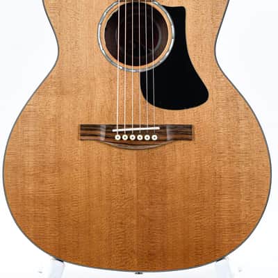 Eastman PCH1 GACE image 5