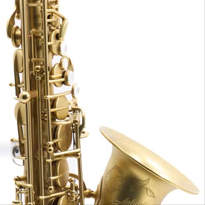 Antigua Winds Model AS4348CU Alto Saxophone in Unlacquered Brass SN UAS110015 image 4