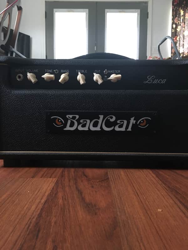 Bad Cat Luca image 1