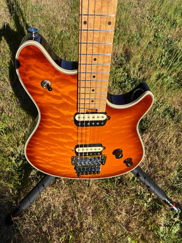 EVH Wolfgang USA 2010 - Tobacco burst image 1