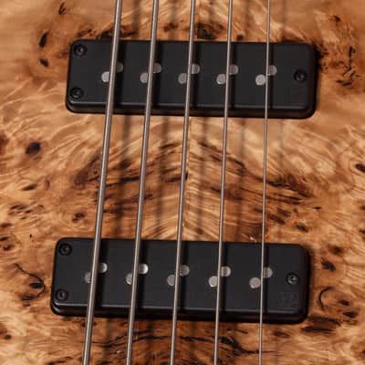 【new】AV BASSES / AVJ5m Burl Poplar 4.025kg #AVJ5m-2025-01【GIB Hyogo】【price included SHIPPING & IMPORT TAX & VAT】 image 7