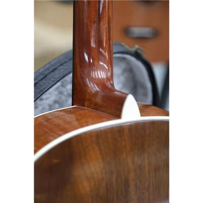 EASTMAN E22SS/v Antique Sunburst image 8
