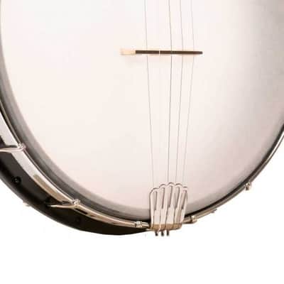 BANJO 5 Cordes GOLD TONE AC-12 - OLDTIME AC SERIE 12" + BAG imagen 3
