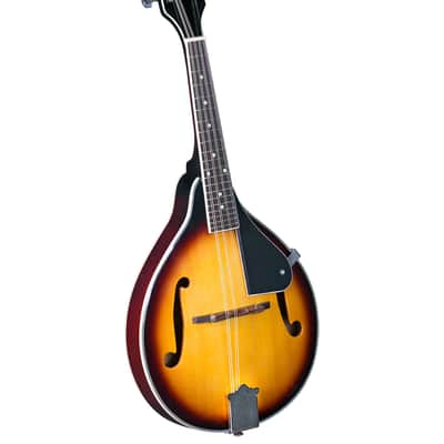 Rover RM-25S Student A-Model Mandolin – Traditional Sunburst image 1