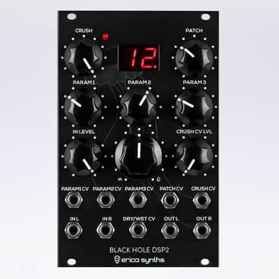 Erica Synths Black Hole DSP V2 Eurorack Effects Module image 1