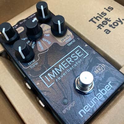 Neunaber Audio Immerse Reverberator V2 2019 | Reverb