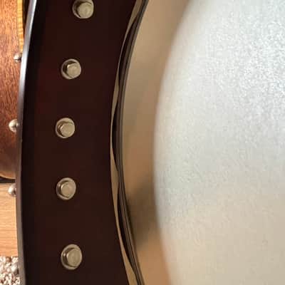 2008 Chanterelle Banjo Gryphon Inlay Mike Ramsey image 12