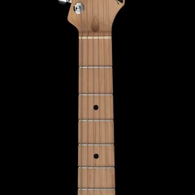 Tom Anderson Icon Classic image 15