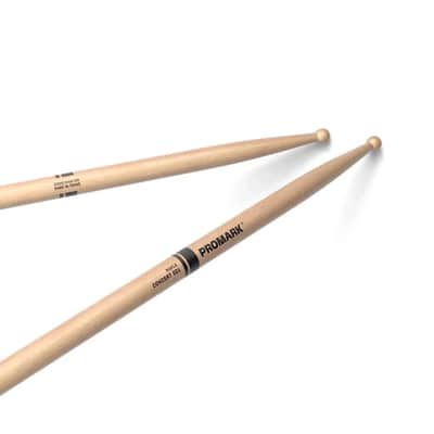 Pair of Promark Concert SD1 Lacquered Maple Round Wood Tip Drumsticks - SD1W image 2