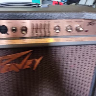 Peavey acoustic Ecoustic112 image 3
