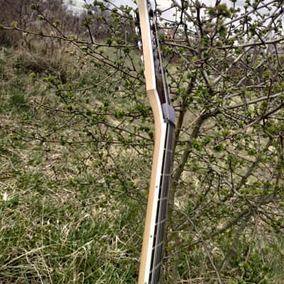 Ibanez RGIX7FDLB-NLB Iron Label 2018 - 2019 - Northern Lights Burst image 10