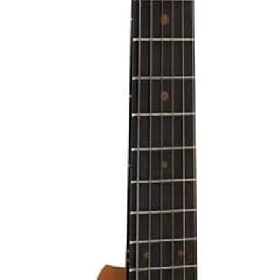 Martin DSS Biosphere II Acoustic Guitar w/SS image 13