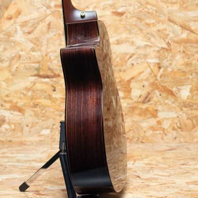 Taylor 914ce LTD 2024 image 5