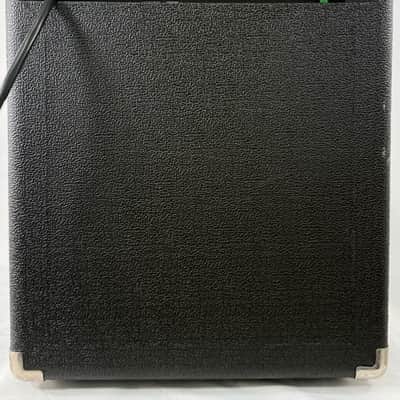 Acoustic B15 Bass Combo image 5