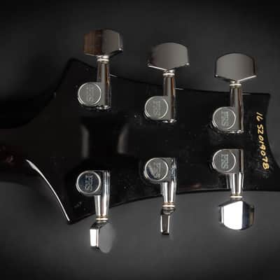 2016 PRS S2 Singlecut Semi-Hollow - Elephant Gray | USA Coil-Split Wraparound Bridge 3.2kg image 18