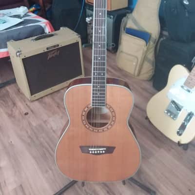 Washburn WF 11S Natural image 1