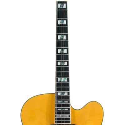 Ibanez PM2-AA Pat Metheny Signature Model image 3