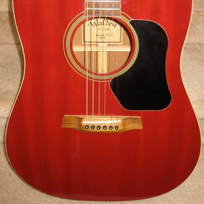 Walden D351SR Acoustic Dreadnought Guitar image 2