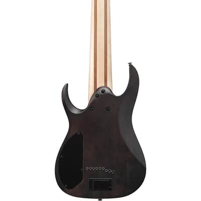 Ibanez RG Axe Design Lab RG9PBTGF 9-String Solid Body Electric Guitar with Macassar Ebony Fretboard, Right-Handed, Transparent Gray Flat image 7