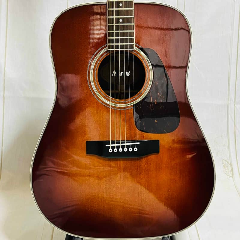 MORRIS 　SPECIAL 　TF - 50 Morris TF-50SP Brazilian Rosewood Vintage Acoustic Guitar Very