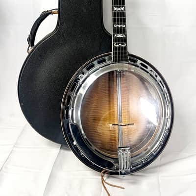 Washburn B18 5 String Resonator 1983 - Clear Gloss image 1
