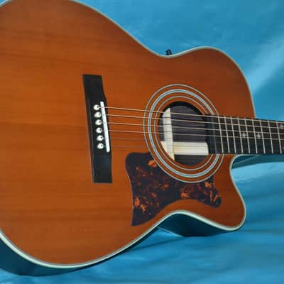 Epiphone EF-500RCCE, eSonic Stereo Outputs, Great for Fingerpicking image 2
