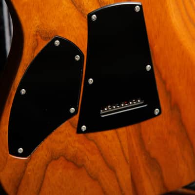 Patrick James Eggle 96 Drop Top Electric Guitar image 18