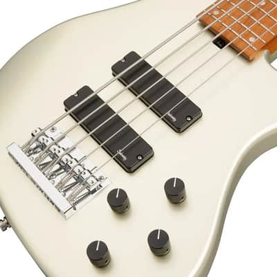 Sadowsky MetroExpress 5-String 24-Fret Modern Bass Roasted Maple Fingerboard 5-String High Polish, Solid Champagne Metallic High Polish image 6