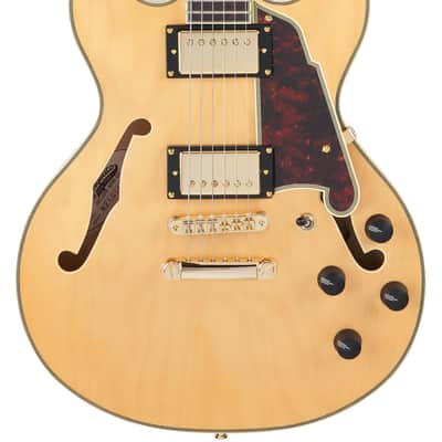 D'Angelico DADMINIDCSHNGS DELUXE MINI DC Semi Hollow Body Double Cutaway 6-String Electric Guitar w/Deluxe Hardshell Case image 5