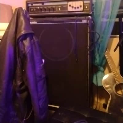 Acoustic 220 Head 1973 Black/Model 106 2x15 Cabinet 1977 image 2