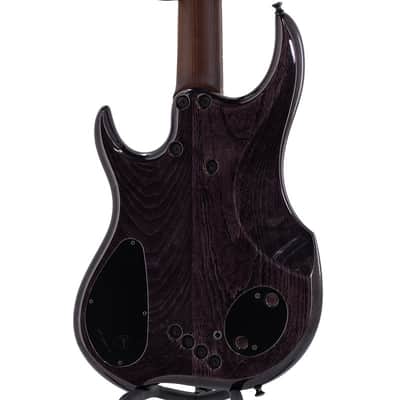 DINGWALL Z3 Cello Hip 5st w/ Burl Maple Top, Roasted Ash Neck, Ziricote Fingerboard/ 2022 NAMM Model image 6