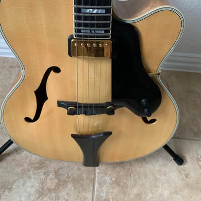Hofner New President 2001 image 6