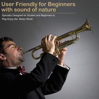 Gold Bb Trumpet – Beginner Brass Student Band Instrument with Case image 4