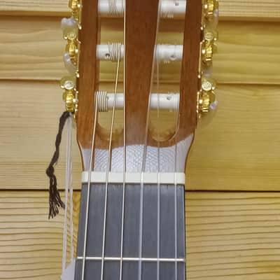 Washburn C5CE Acoustic Electric Classical Guitar - Electric Amber image 7
