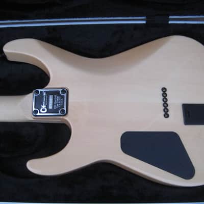 Charvel USA custom shop dinky image 7